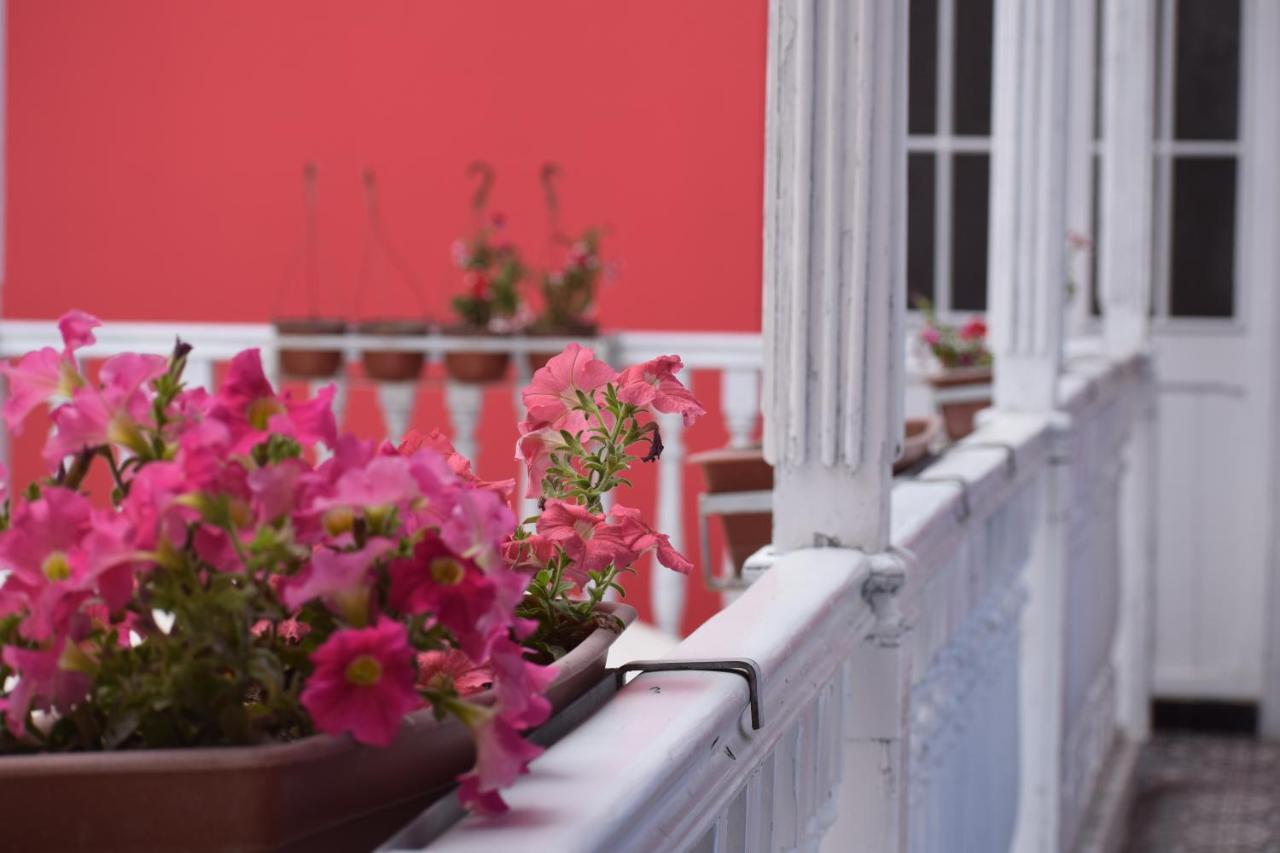 Mango Hostal *